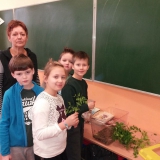 hodowla-patyczakow