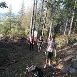 sprzatanie-kolo-kapliczek