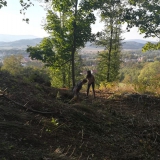 sprzatanie-kolo-kapliczek