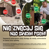 zdjecie
