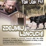 zdjecie
