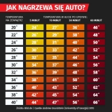 zdjecie